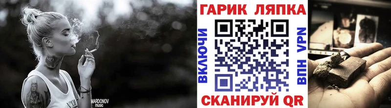 ГАШ ice o lator  Кашин 
