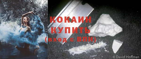 спайс Кулебаки