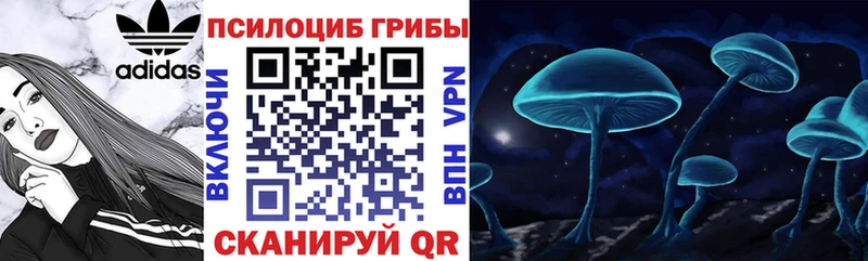 Галлюциногенные грибы Magic Shrooms  мега как войти  Кашин 